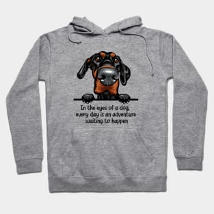 In the eyes of a dog,  every day is an adventure  waiting to happen Hoodie